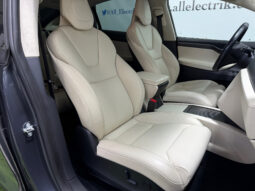 Tesla Model X 100D 6 PL lleno
