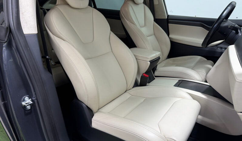 Tesla Model X 100D 6 PL lleno
