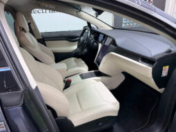Tesla Model X 100D 6 PL lleno