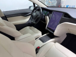 Tesla Model X 100D 6 PL lleno