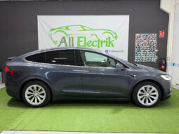 Tesla Model X 100D 6 PL lleno