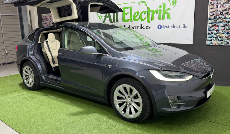 Tesla Model X 100D 6 PL lleno