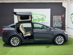 Tesla Model X 100D 6 PL lleno