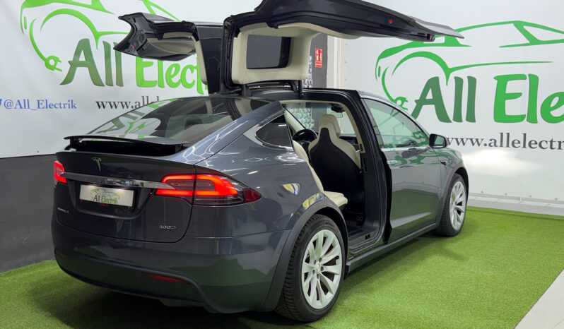 Tesla Model X 100D 6 PL lleno