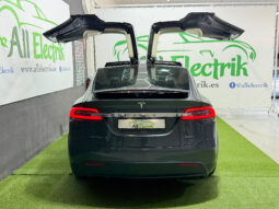 Tesla Model X 100D 6 PL lleno