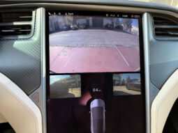 Tesla Model X 100D 6 PL lleno