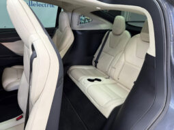 Tesla Model X 100D 6 PL lleno