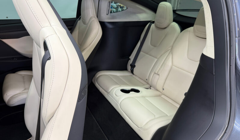 Tesla Model X 100D 6 PL lleno