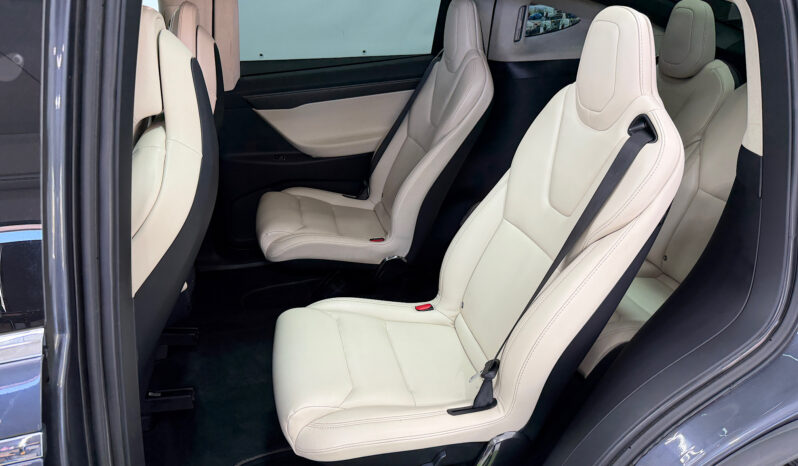 Tesla Model X 100D 6 PL lleno