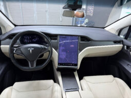 Tesla Model X 100D 6 PL lleno