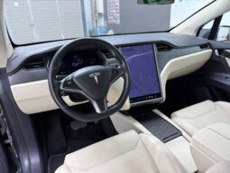 Tesla Model X 100D 6 PL lleno