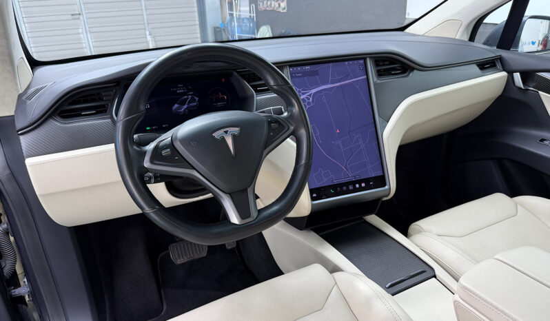 Tesla Model X 100D 6 PL lleno