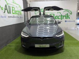 Tesla Model X 100D 6 PL lleno