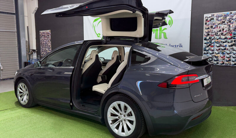 Tesla Model X 100D 6 PL lleno